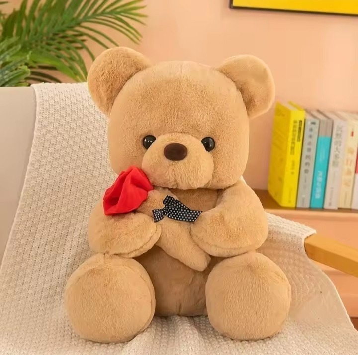 Valentines Day Roses Teddy bear