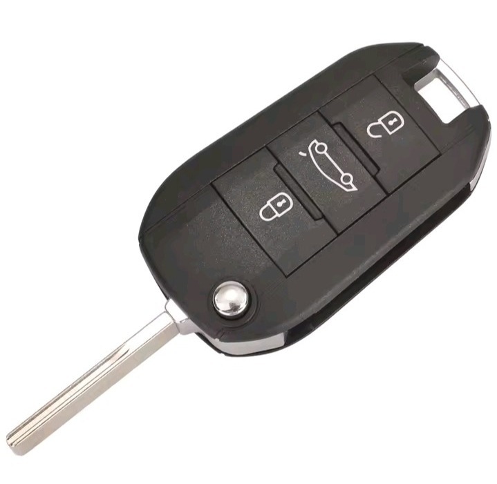 jingyuqin flip Remote Smart Car key - Image 4