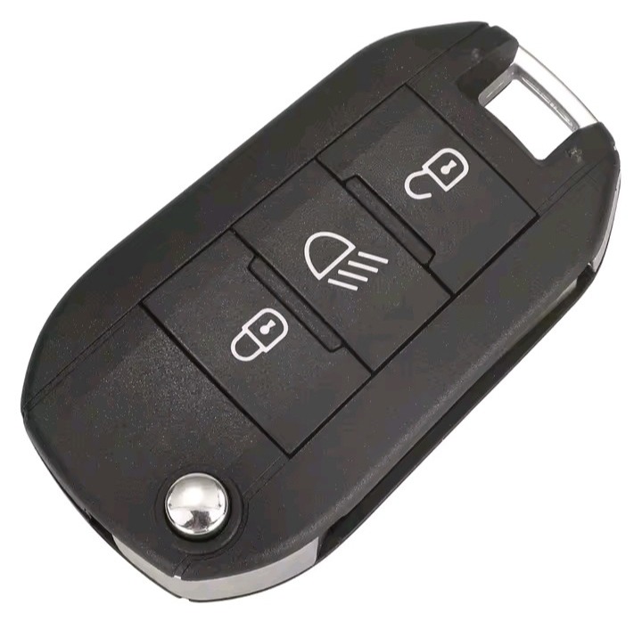 jingyuqin flip Remote Smart Car key - Image 3