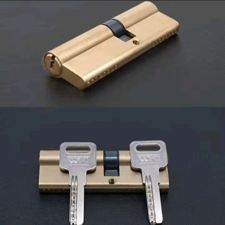 Door Cylinder Biased Lock - Image 6