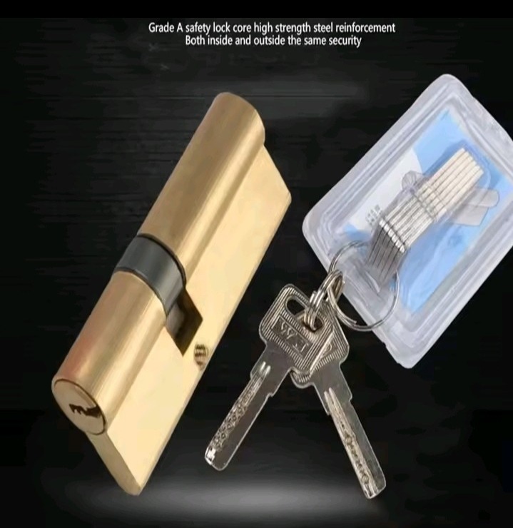 Door Cylinder Biased Lock - Image 5