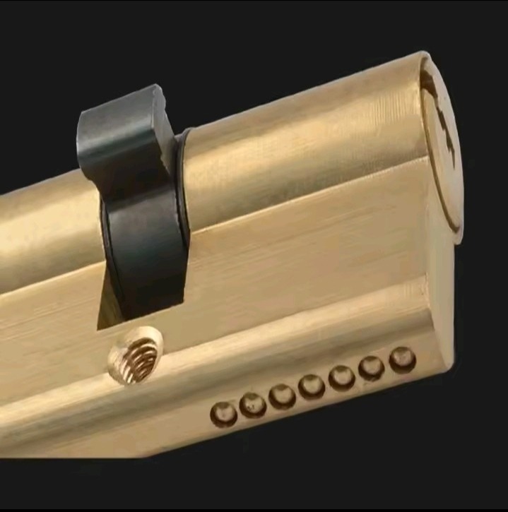 Door Cylinder Biased Lock - Image 4