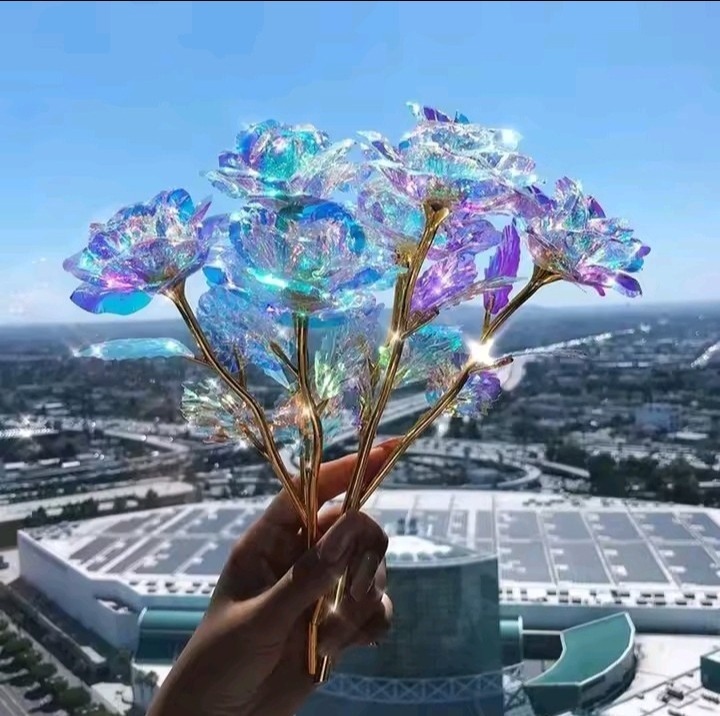 5/10 Galaxy Rose Flower