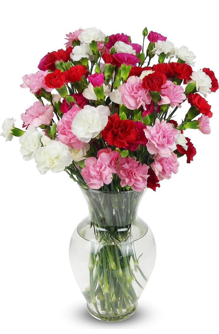 Charming fresh cut rose Flower