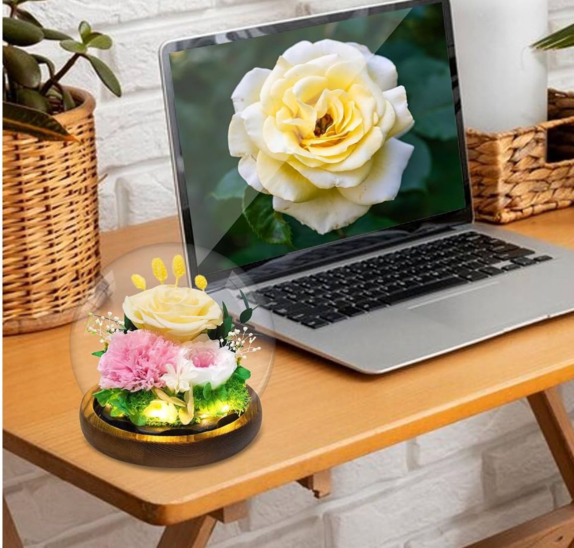 Champagne Rose - Image 5
