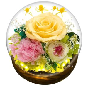 Champagne Rose